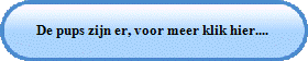 De pups zijn er, voor meer klik hier....