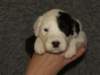 Photo Number 2